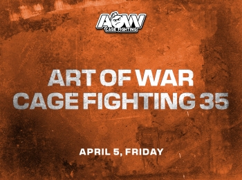 Art of War 35